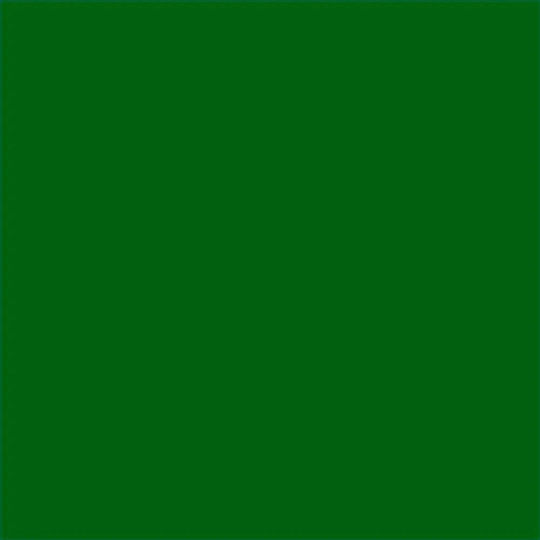 Extra Alkyd Paint 650 Ml Ral 6002 Dekorator