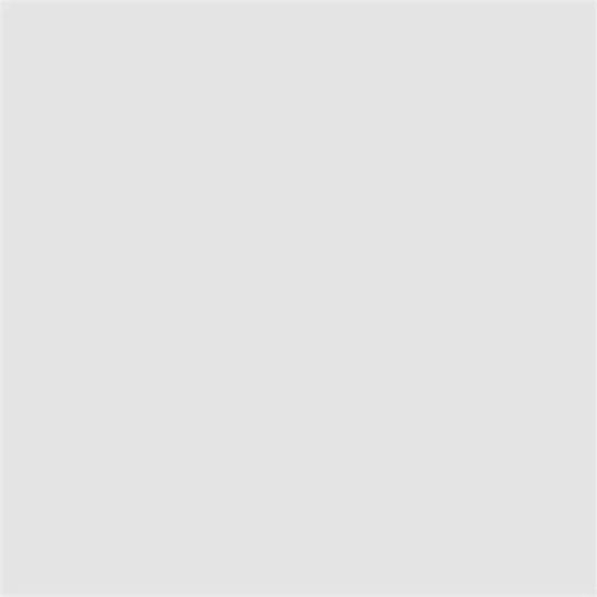 Extra Alkydfarbe 2.5 l Ral 9016 Dekorator
