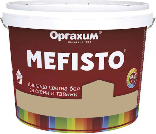 Interior Paint Color Cream 5 Kg Mefisto