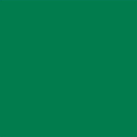 Extra Alkyd Paint 650 Ml Ral 6032 Dekorator