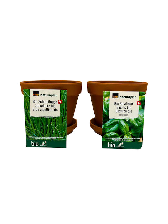Pot Σετ 2 Γλάστρες Terracotta