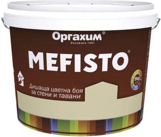 Interior Paint Color Melon 5 Kg Mefisto