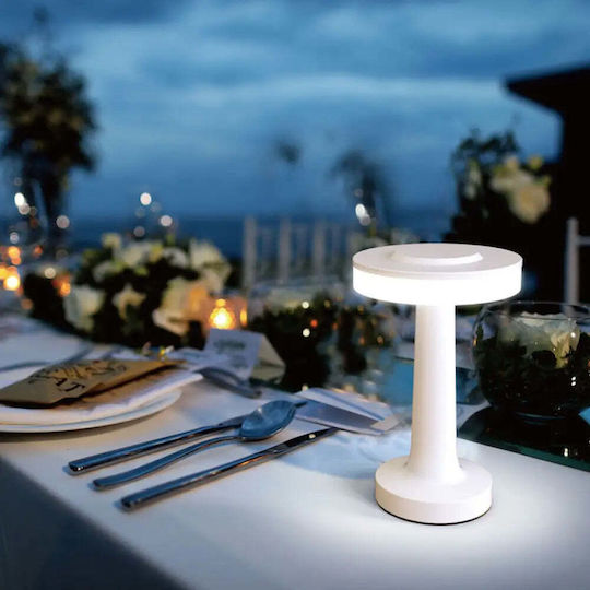 Vivalux Decorative LED Lamp