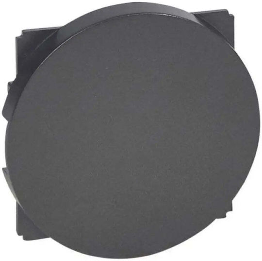 Empty Panel Lgr Celiane 67943 Celiane Legrand Graphite