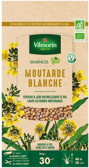 Weiße Senfsamen 60 G Vilmorin