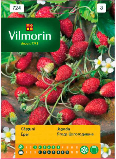 Vilmorin Beeren Samen