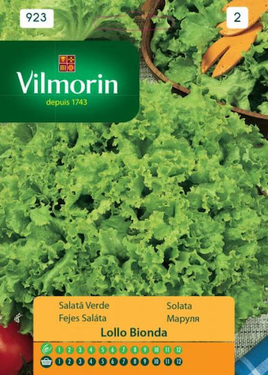 Lettuce Seeds L.bionda Vilmorin