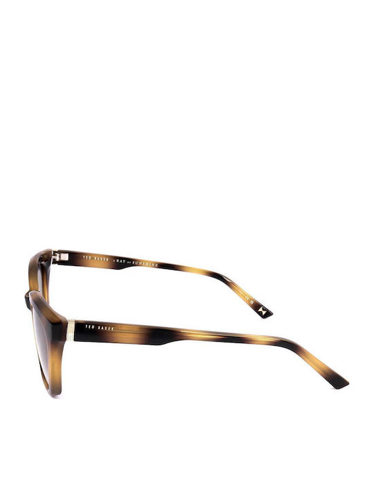 Ted Baker Tb1639 Women's Sunglasses with Multicolour Horn-Rimmed Frame and Multicolour Gradient Lens TB1639 136