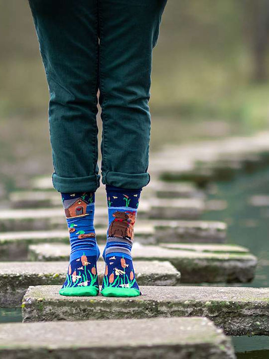 Pirin Hill Blue Socks