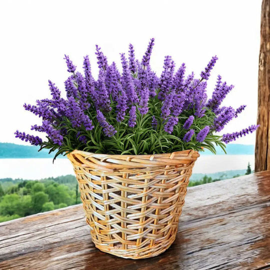 Garden Star Decorațiune Coș Pentru Grădină