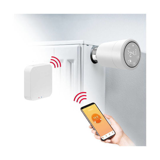 iSnatch Cap Termostatic Electronic cu Wi-Fi pentru Corp Calorifer 1 Bucată