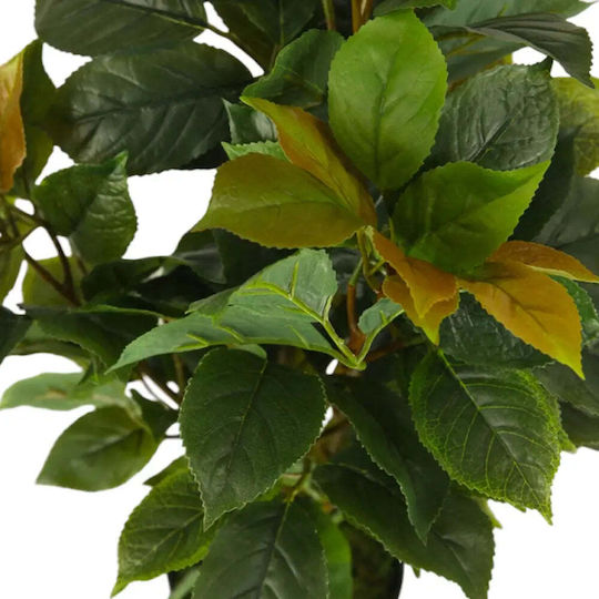 Artificial Plant Ficus 65cm Hd Hd-10982