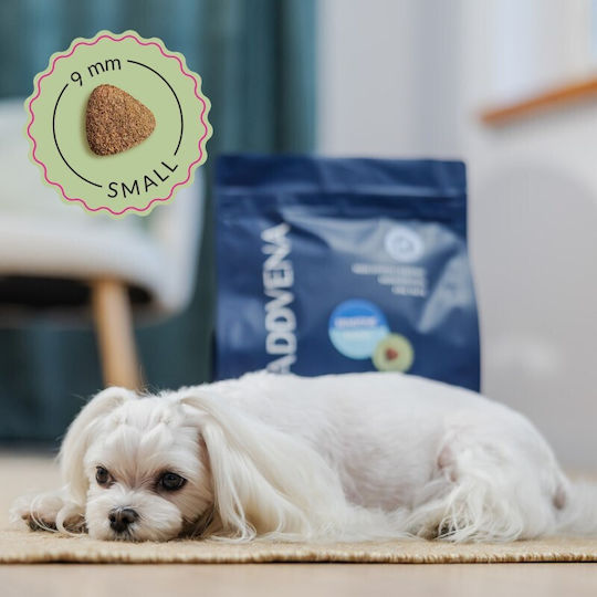 Nature 2.5kg Dry Dog Food Small Breeds With Lamb