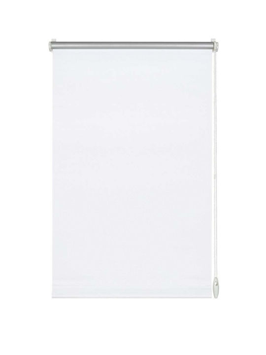 Rollos Partieller Blackout Weiß P72.5xH150cm