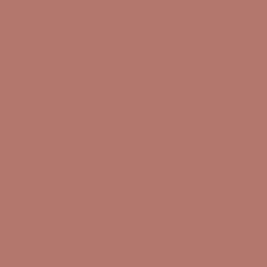 Lavish Care Matte Liquid Lipcolor Xtra Long Long Lasting Liquid Lipstick Matte 6ml