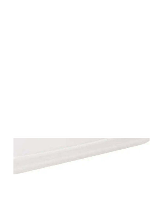 Rotho Babydesign Plastik Aufbewahrungsbox mit Deckel Transparent 19lt