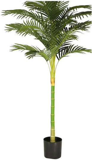 Изкуствено Растение Палма Areca 210см HD HD-10974