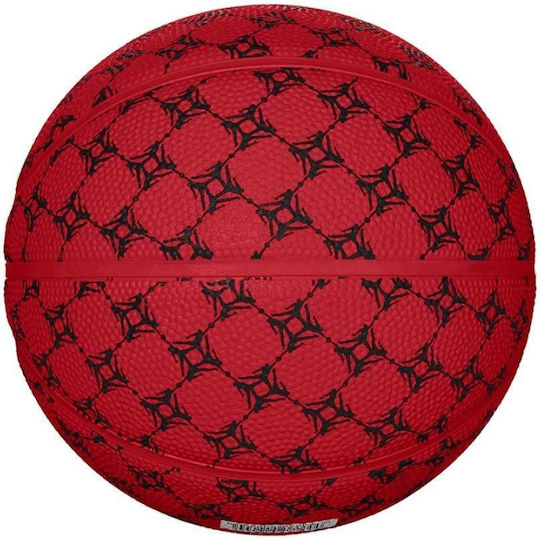 Jordan 2.0 Graphic Mini Mingea de baschet