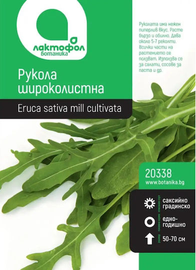 Wide-leaved Arugula Seeds Botanic