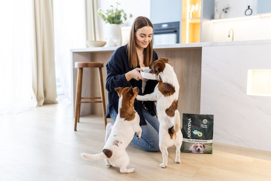 Dog Food 2.5kg Dry Food for Adult Small Breed Dogs with Turkey