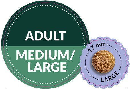 Dog Food 2.5kg Dry Food for Adult Medium and Large Breed Dogs with Turkey