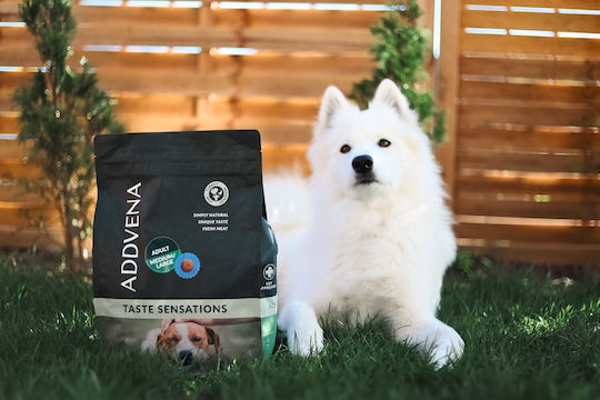 Dog Food 2.5kg Dry Food for Adult Medium and Large Breed Dogs with Turkey