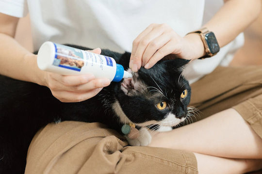 Virbac Epiotic Ear Cleanser Ear Care Liquid Dogs Cats 125ml