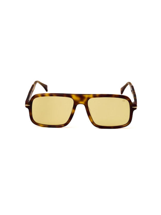 AV Sunglasses Solaris Γυαλιά Ηλίου με Κοκκάλινο Σκελετό
