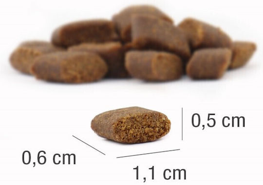 Platinum Pet Food & Care Platinum Vetactive 5kg Ξηρά Τροφή χωρίς Σιτηρά για Ενήλικους Σκύλους με Κρέας και Γαλοπούλα