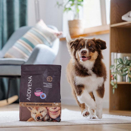 Forza10 10kg Dry Food for Puppies of Medium & Large Breeds