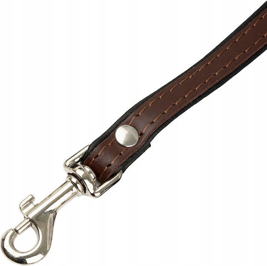 Leather Dog Leash Brown Black M-l 20mm/120cm