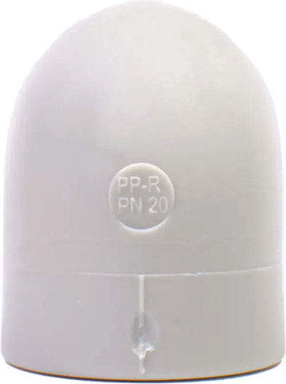 Ppr Reducing Elbow Fv Plast
