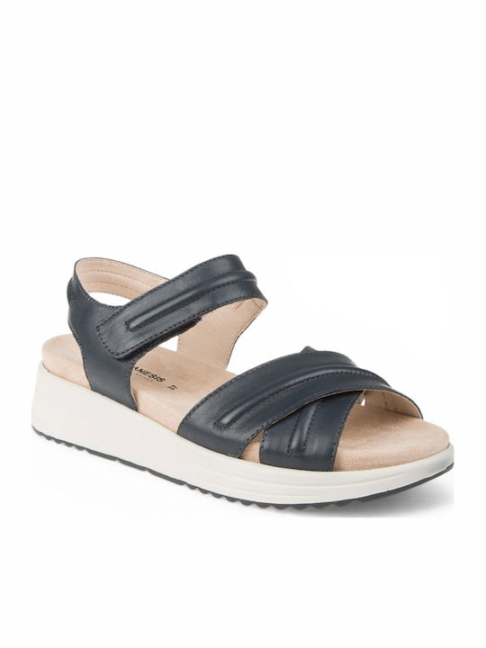 Air Anesis