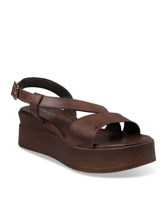 Summer Women's Brown Platforms