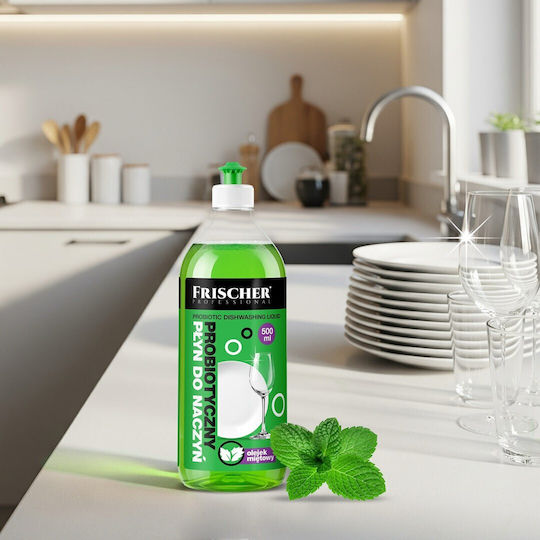 Frischer Washing-Up Liquid 500ml