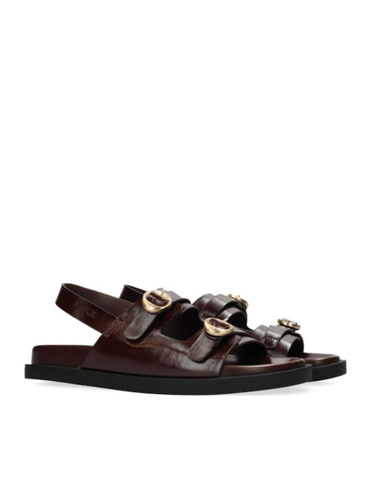 Mexx