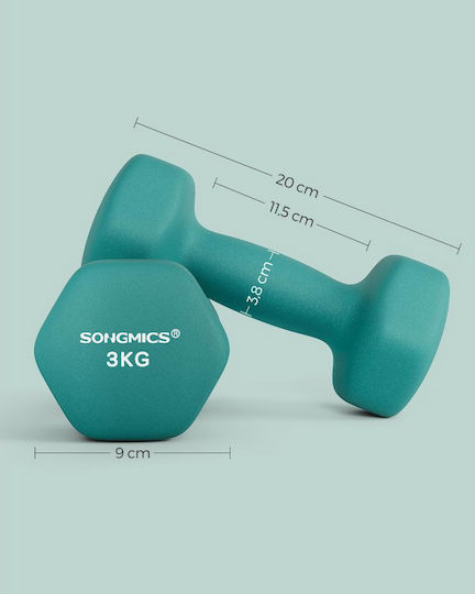Songmics Βαράκι 1 x 3kg