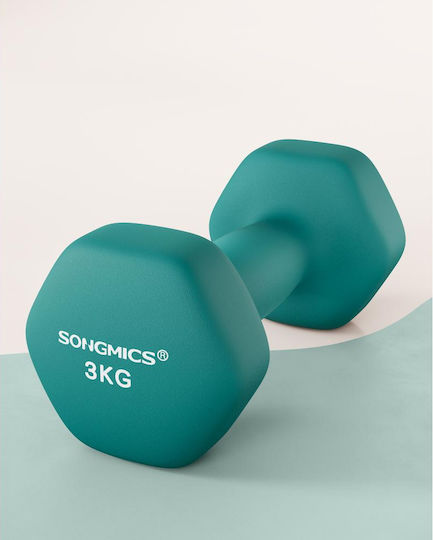 Songmics Βαράκι 1 x 3kg