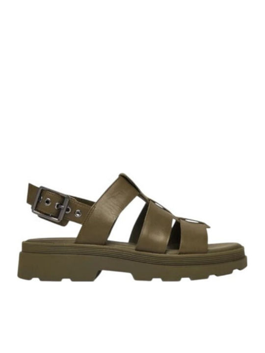 Clarks Clarks