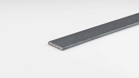 Steel Straight Profile 12x3mm/1m
