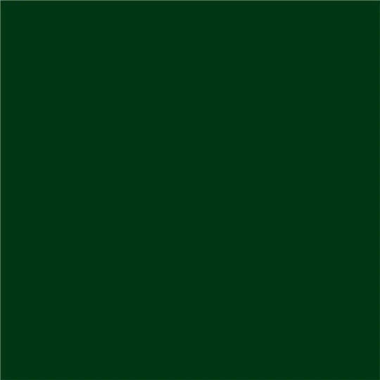 3 In 1 Enamel Paint 500 Ml Dark Green Color Protecta