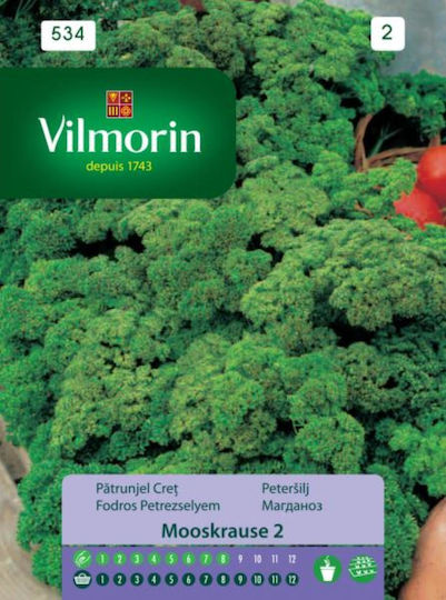 Parsley Seeds Mooskrause Wilmor