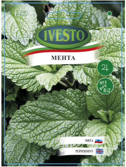 Ivesto Minze Samen