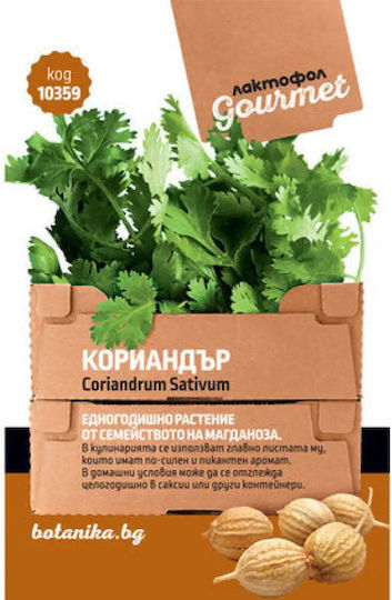 Gourmet Coriander Seeds