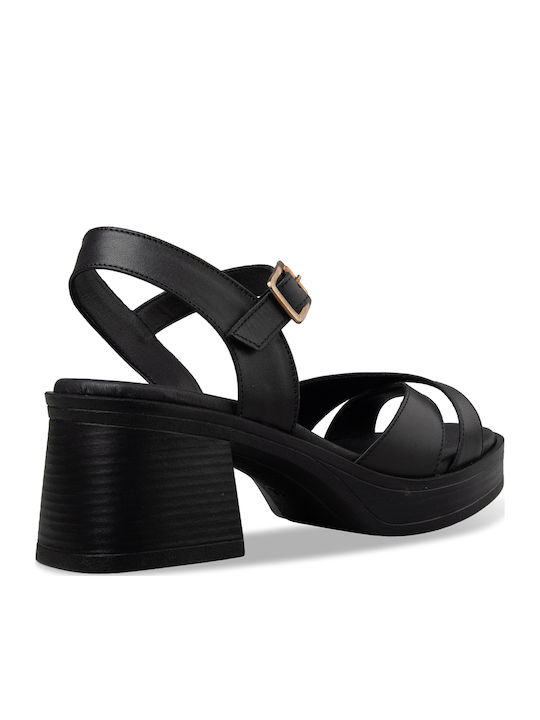 Tsouderos Shoes