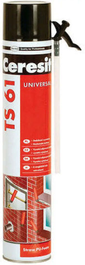 Ceresit Ts61 Mounting Pu Foam