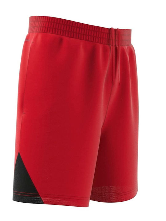 Badge of Sport Herren Shorts Rote