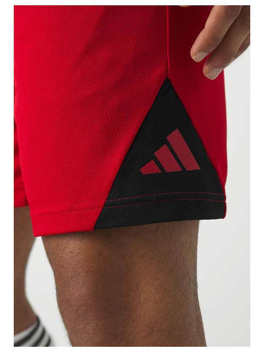 Badge of Sport Herren Shorts Rote