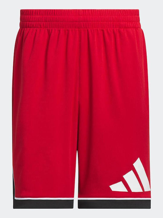 Badge Of Sport Athletic Men's Red Shorts