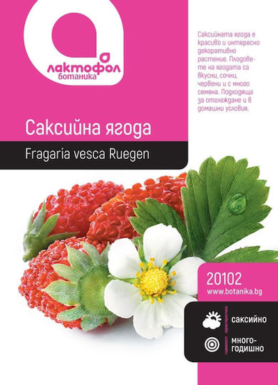 Potted Strawberry Seeds Botanic